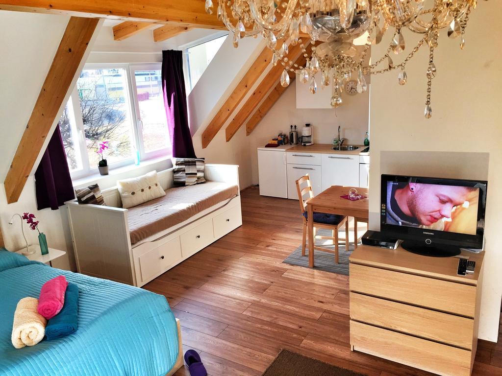 Book-A-Room Salzburg Apartment 5-6-7-8 Rum bild